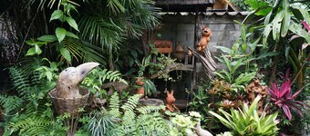 Konkubdin Homestay