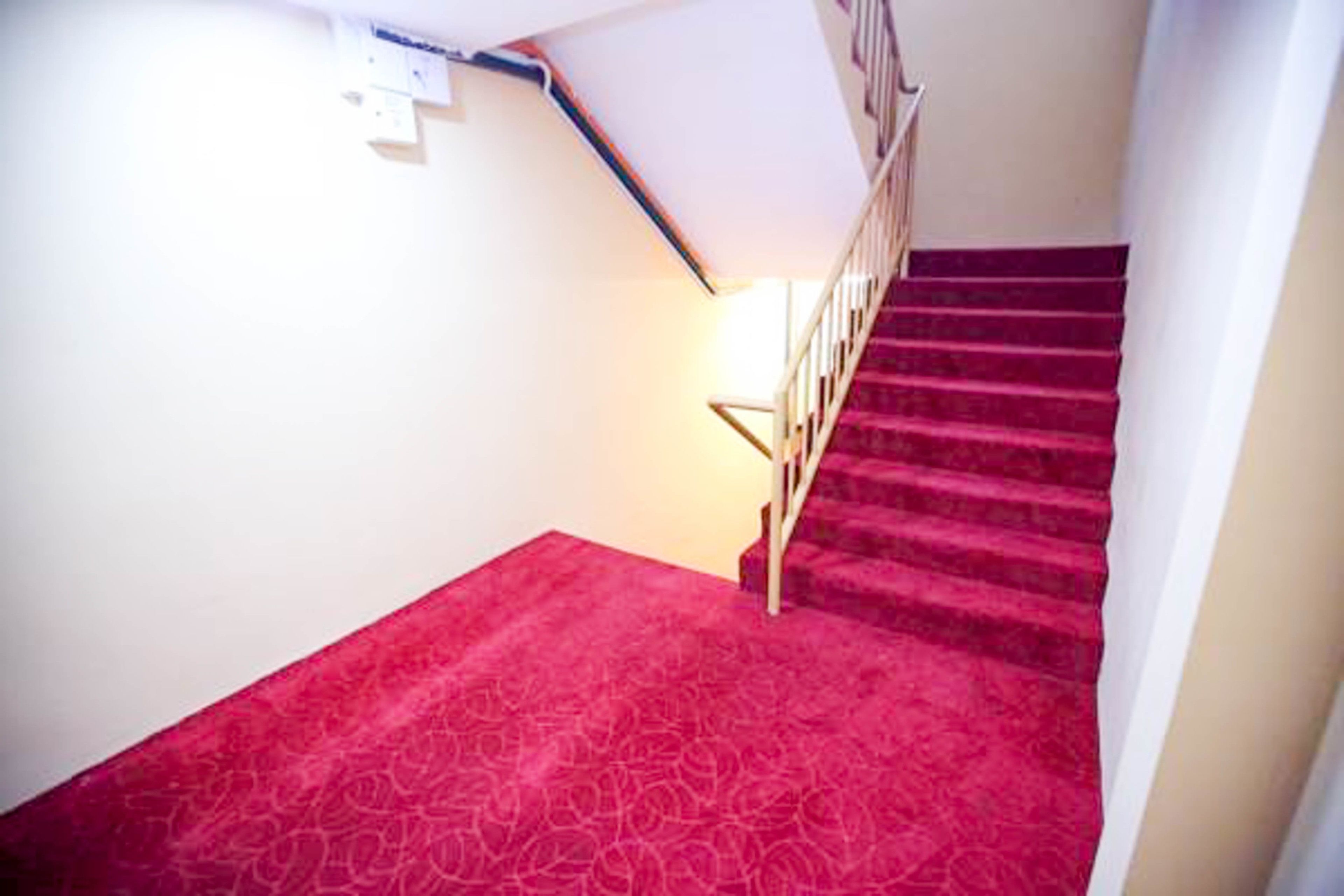 A staircase with a red carpet and a white wall.