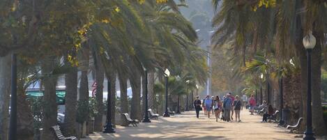 A paved walkway lined with palm trees and benches, with people walking and sitting.
