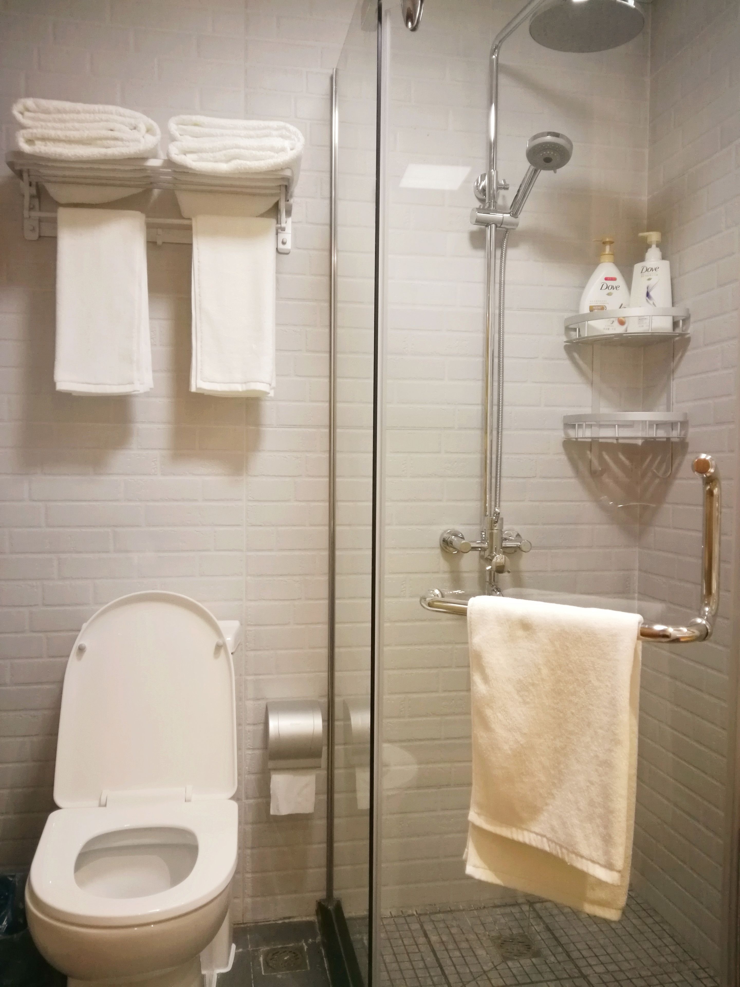 Een badkamer met een toilet, een douchecabine van glas en twee handdoekrekken met opgevouwen handdoeken.