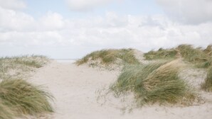 Una playa arenosa con dunas y vegetación escasa.