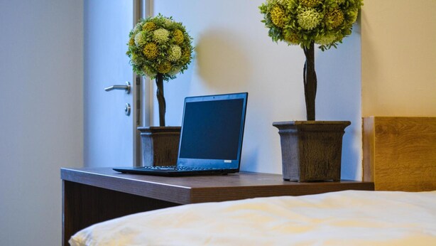 Een laptop op een houten bureau met twee planten in potten, een bed met een witte dekbedovertrek en een houten hoofdbord.