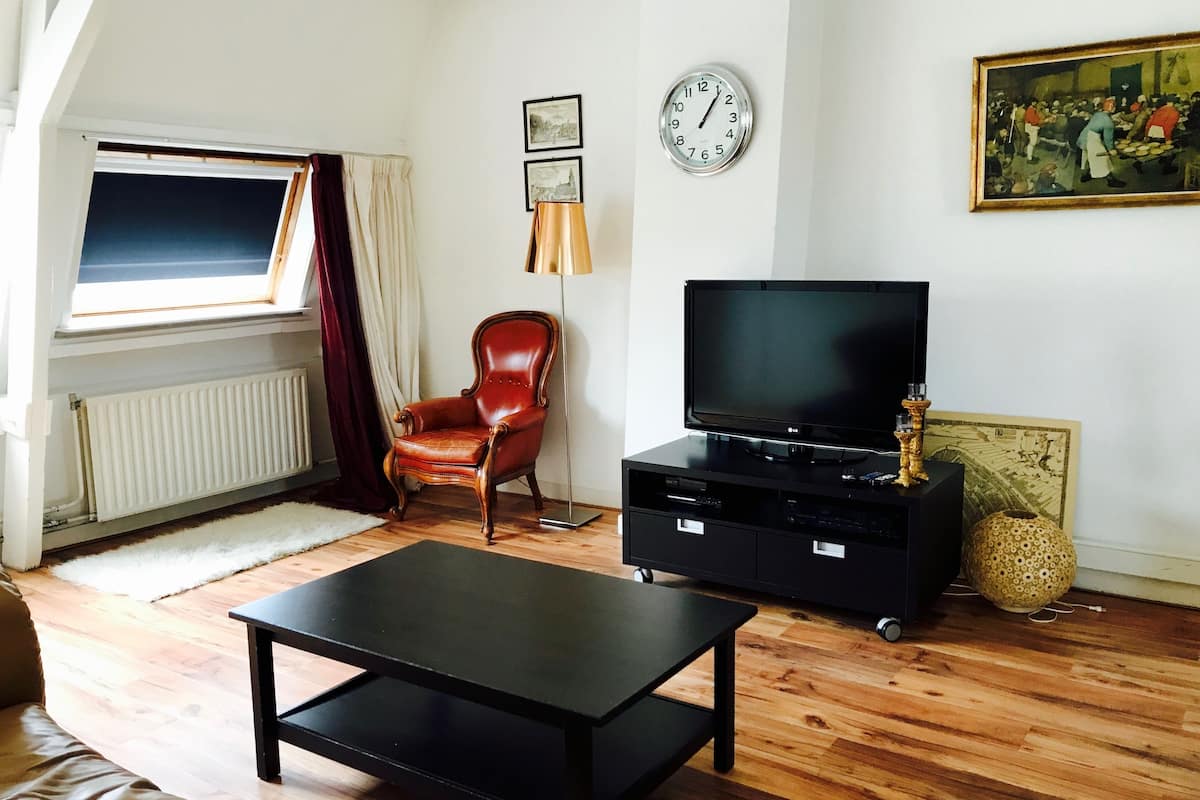 Classic Penthouse, 1 King Bed, City View | Living area | Flat-screen TV