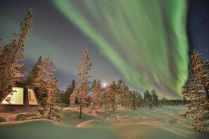 A snowy forest with a cabin and the Northern Lights. - Pinetree Lodge (Kangos)