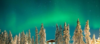 Pinetree Lodge