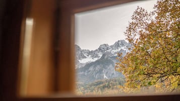 Appartement, 1 chambre, vue montagne (Unikat Art 8) | Coin séjour