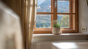 Ein Fenster mit Blick auf Berge, ein Heizkörper und ein Blumentopf auf der Fensterbank.