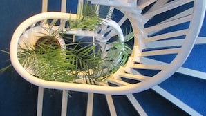 Een wenteltrap met een witte leuning en een ronde plantenbak met groene planten.