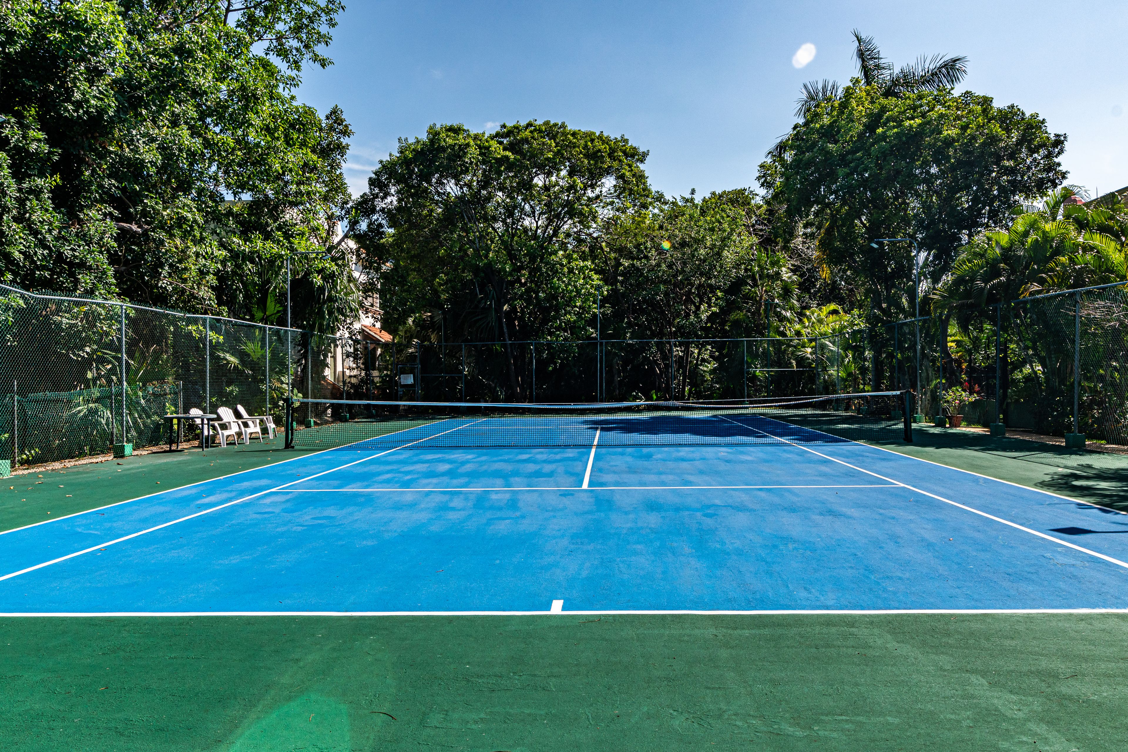 A tennis court with a net, surrounded by trees and a fence.
