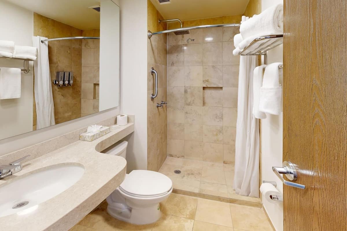 shower, free toiletries, hair dryer, towels