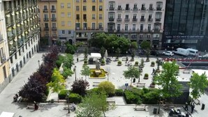 A courtyard with a fountain, benches, and trees. - El Patio de Chueca - Hostel (Madrid)