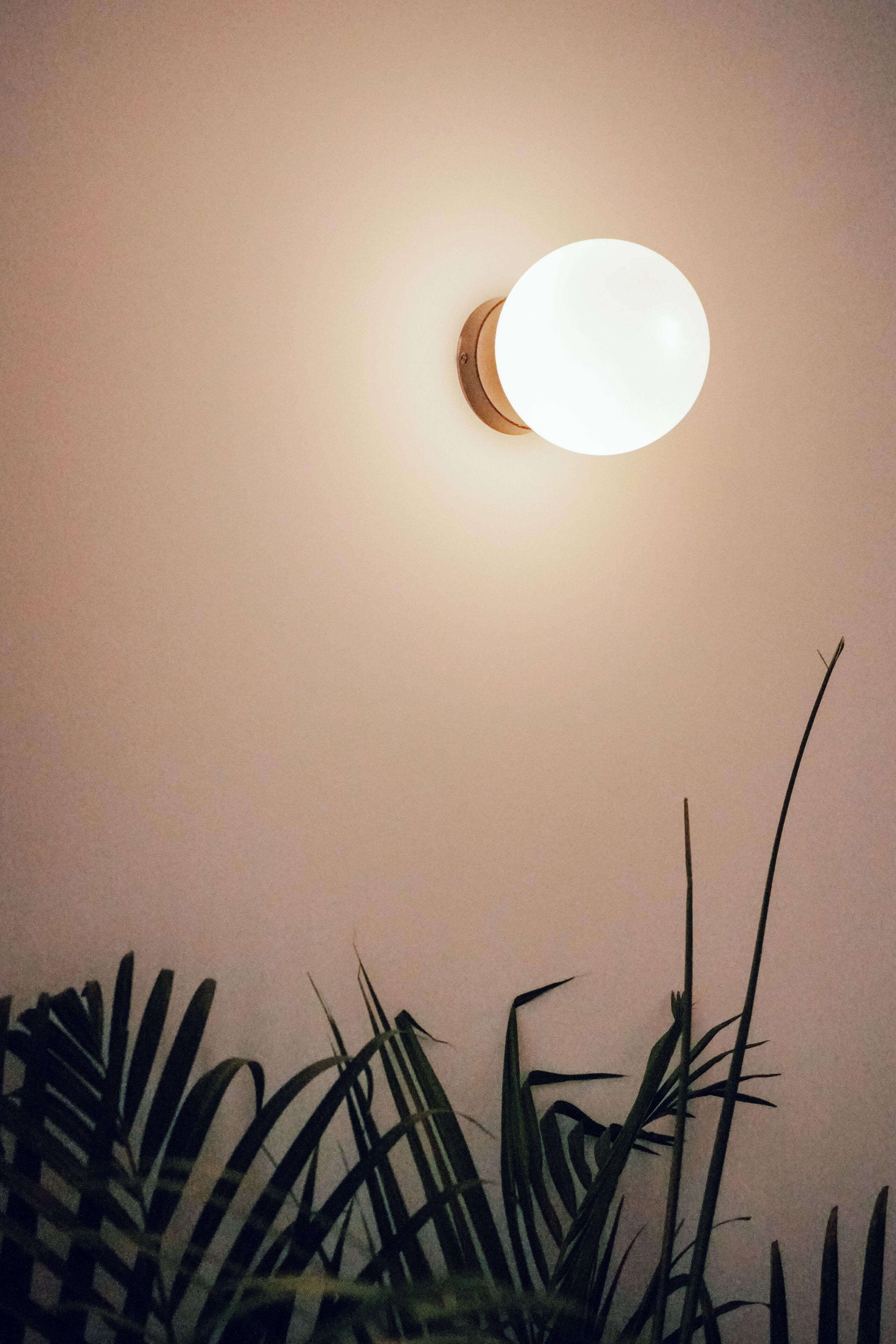 Photo - Motion Chueca - Hostel