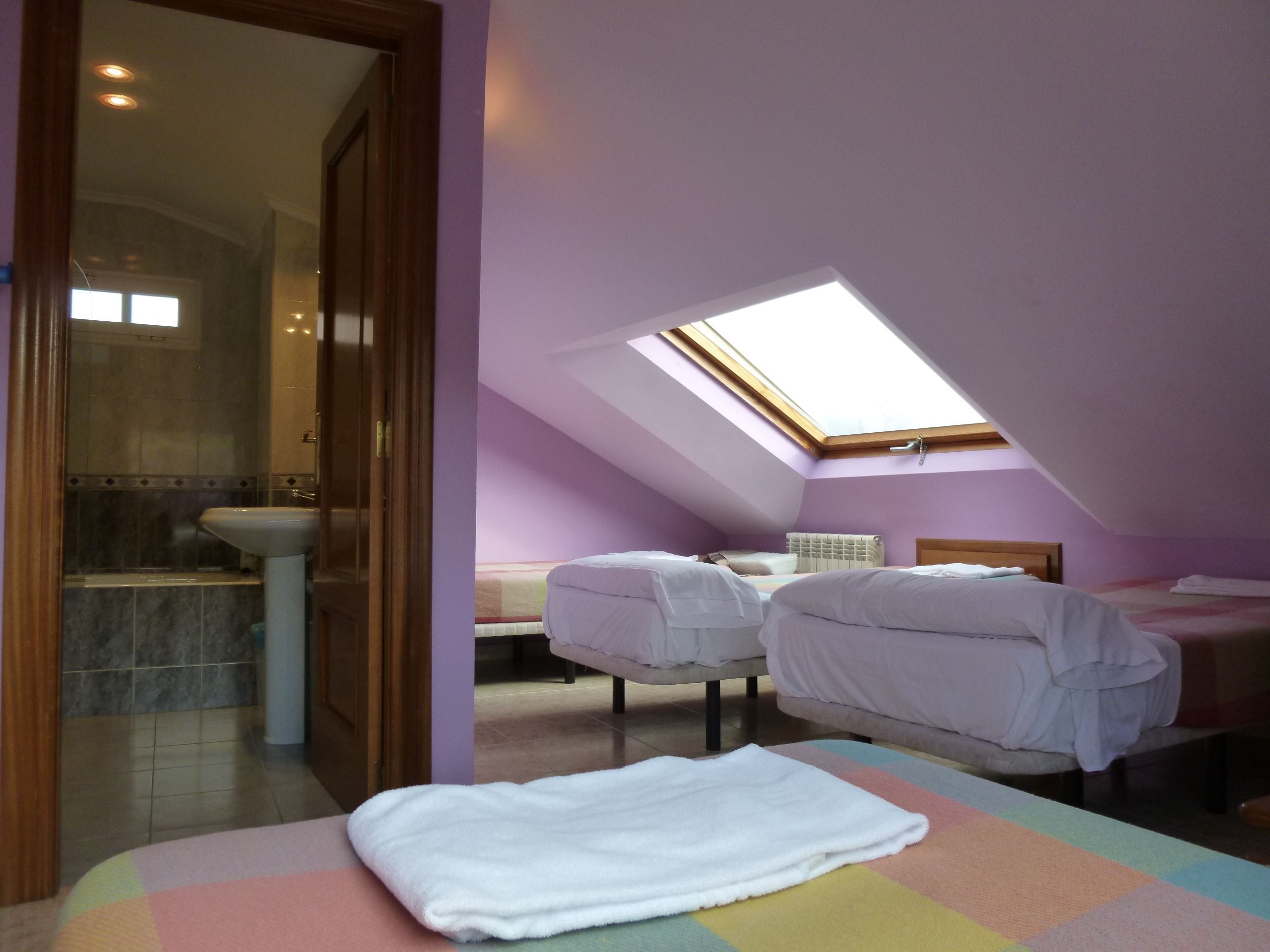 Een kamer met dakraam, een bed, nachtkastje en een badkamer met wastafel en douche.