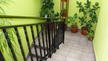 A staircase with a black railing, potted plants, and a wooden shelf against a green wall.