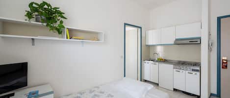A compact hotel room with a bed, a TV, a small kitchenette, and a potted plant.