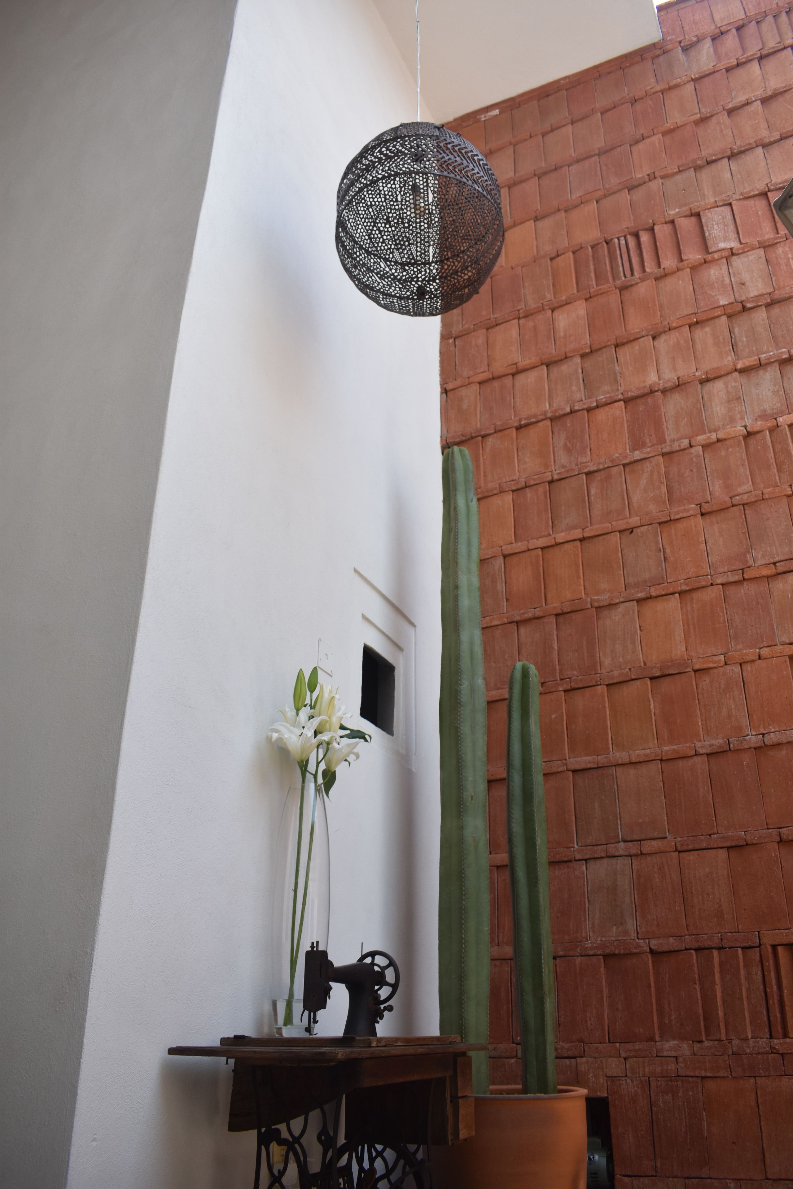 Una habitación con una máquina de coser, un cactus y una lámpara colgante.