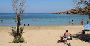 A beach with people swimming and sunbathing, a tree, and a clear sky. - Inea Studio (Chania)