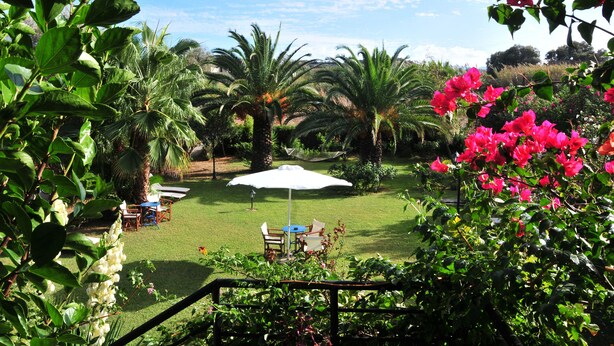 Jardim