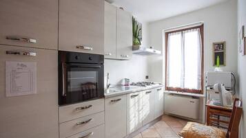 Großer Kühlschrank, Mikrowelle, Ofen, Herdplatte