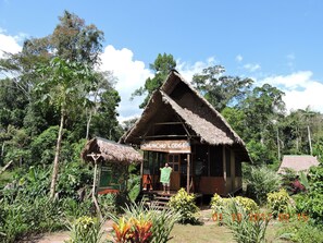Ngoại thất