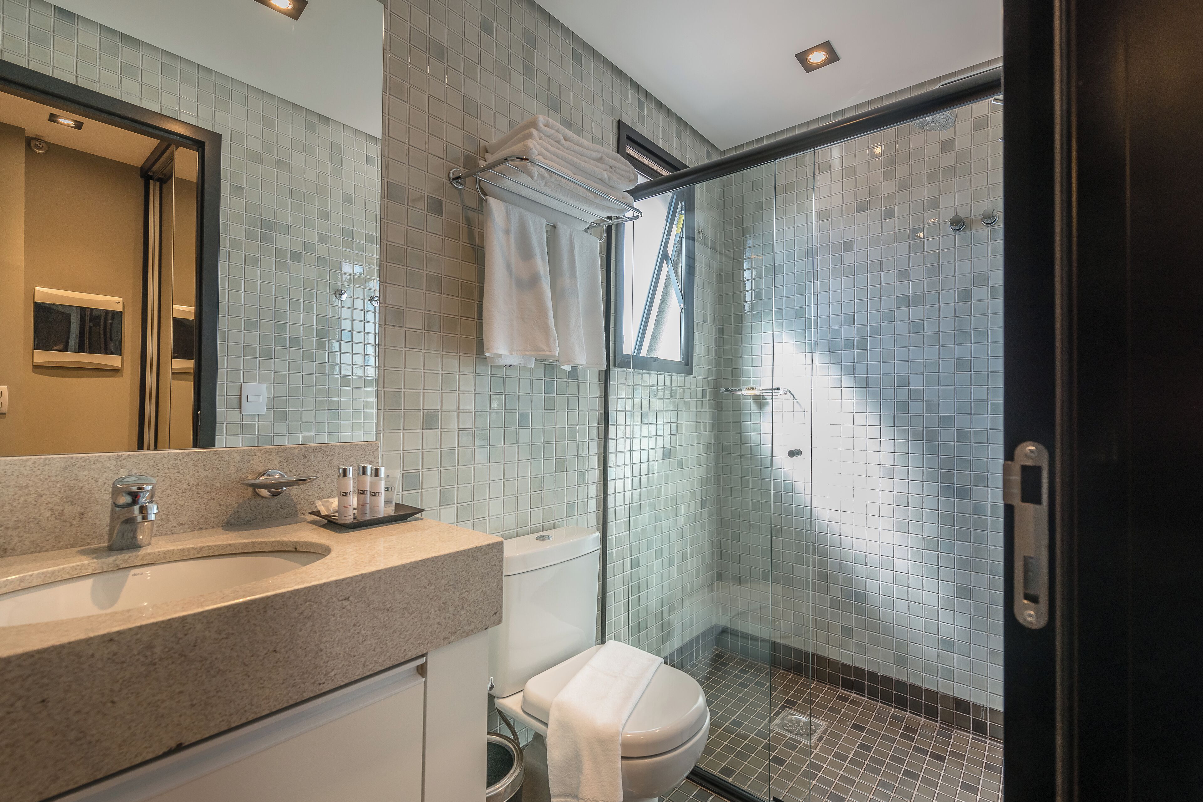 A modern bathroom with a glass-enclosed shower, a vanity with a sink, and a toilet.