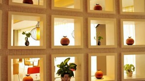 A wall with multiple square frames, each containing a plant or decorative item. - Jinjiang Inn Select (Wujiang Tongli Yunliqiao) (Suzhou)