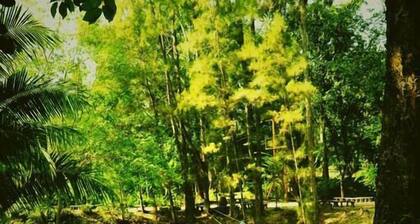 Kaengkrachan Riverside Resort