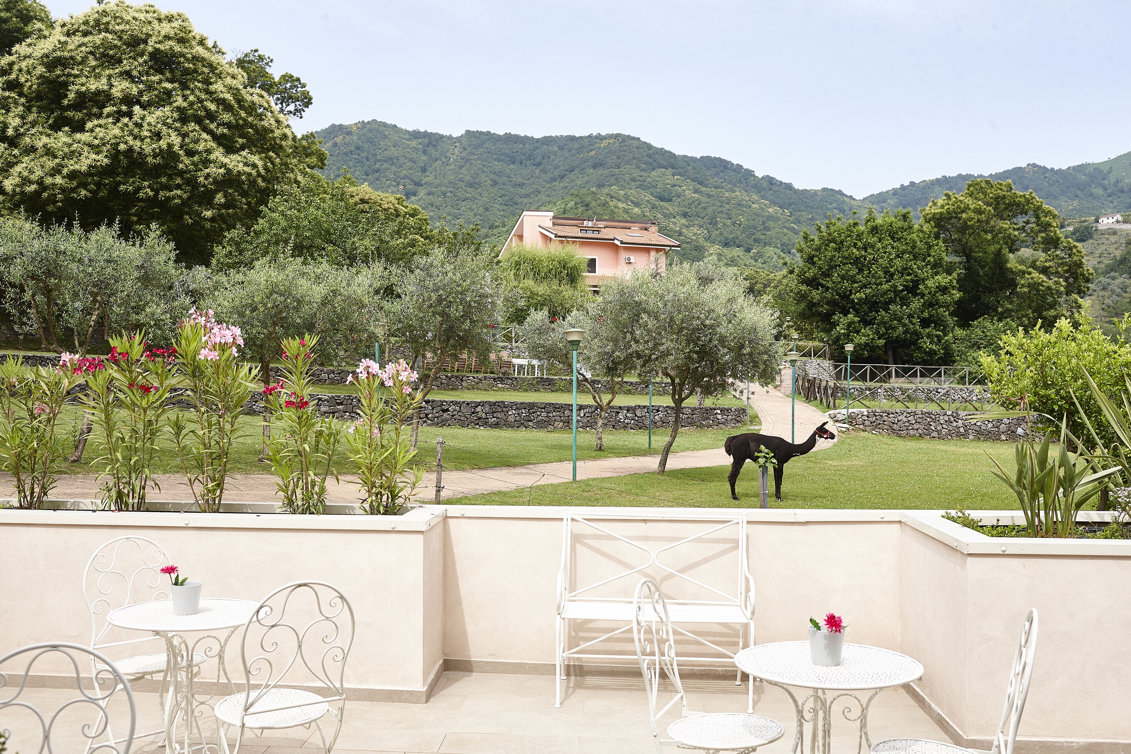 A terrace with white metal chairs and tables, surrounded by greenery and a view of a hill with a house.