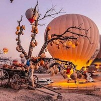 A tree with hot air balloons and a large balloon in the background.