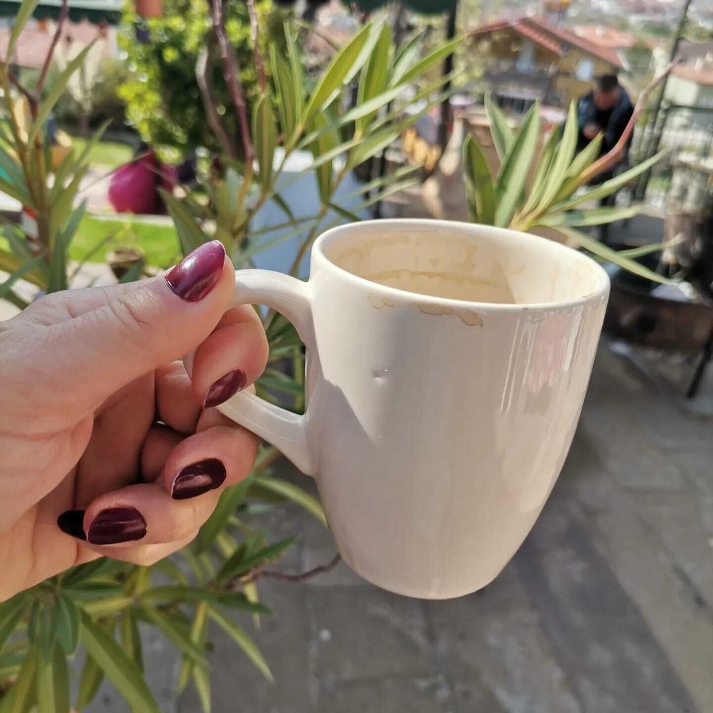A hand holding a white mug with a handle, set against a background of green plants and a blurred outdoor scene.
