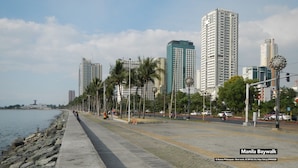 Un paseo marítimo con un camino de piedra, palmeras y modernos rascacielos al fondo.