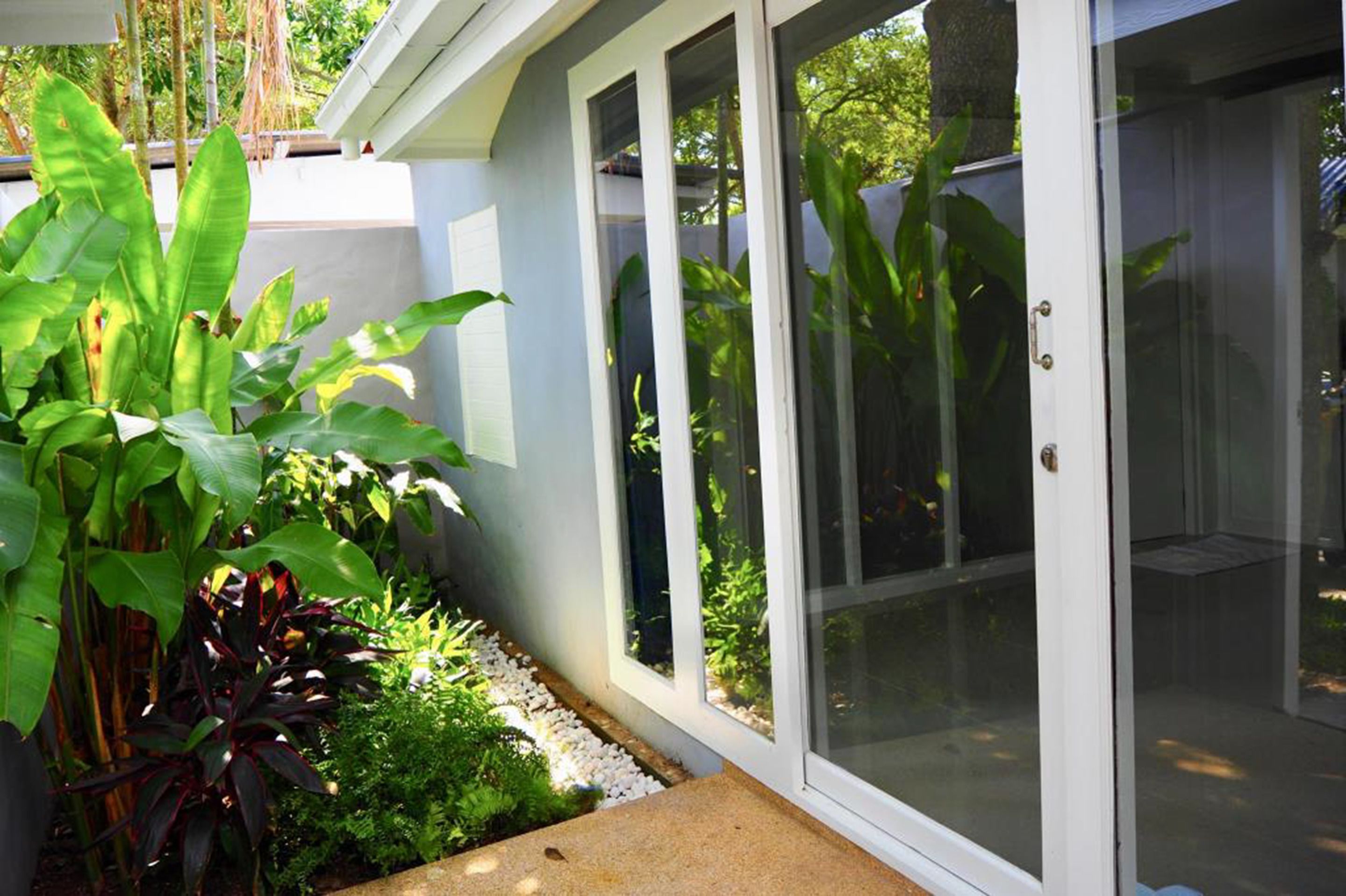 A house with a sliding glass door, a concrete pathway, and lush green plants.