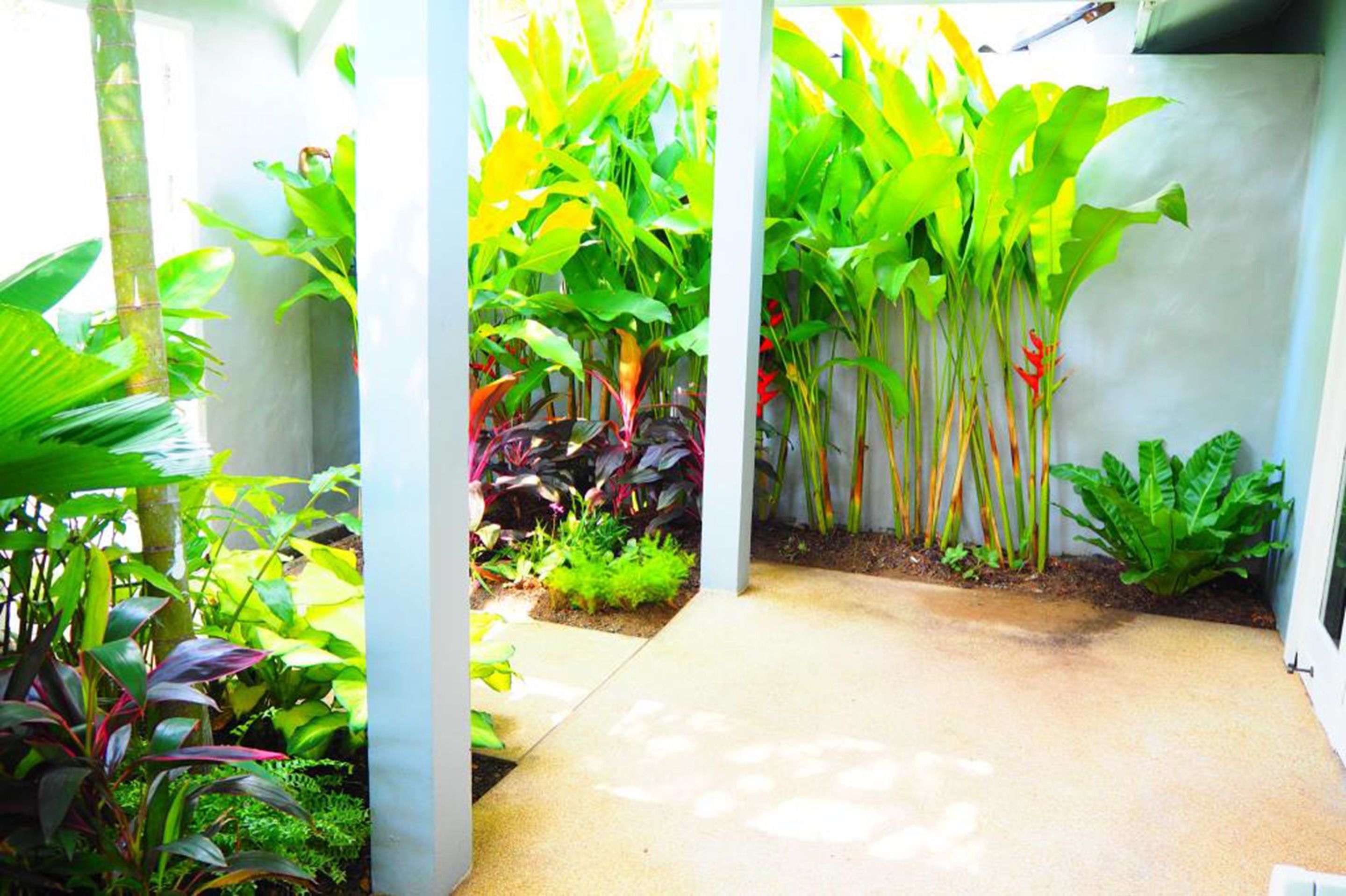 family quadruple room, multiple beds, patio | terrace/patio