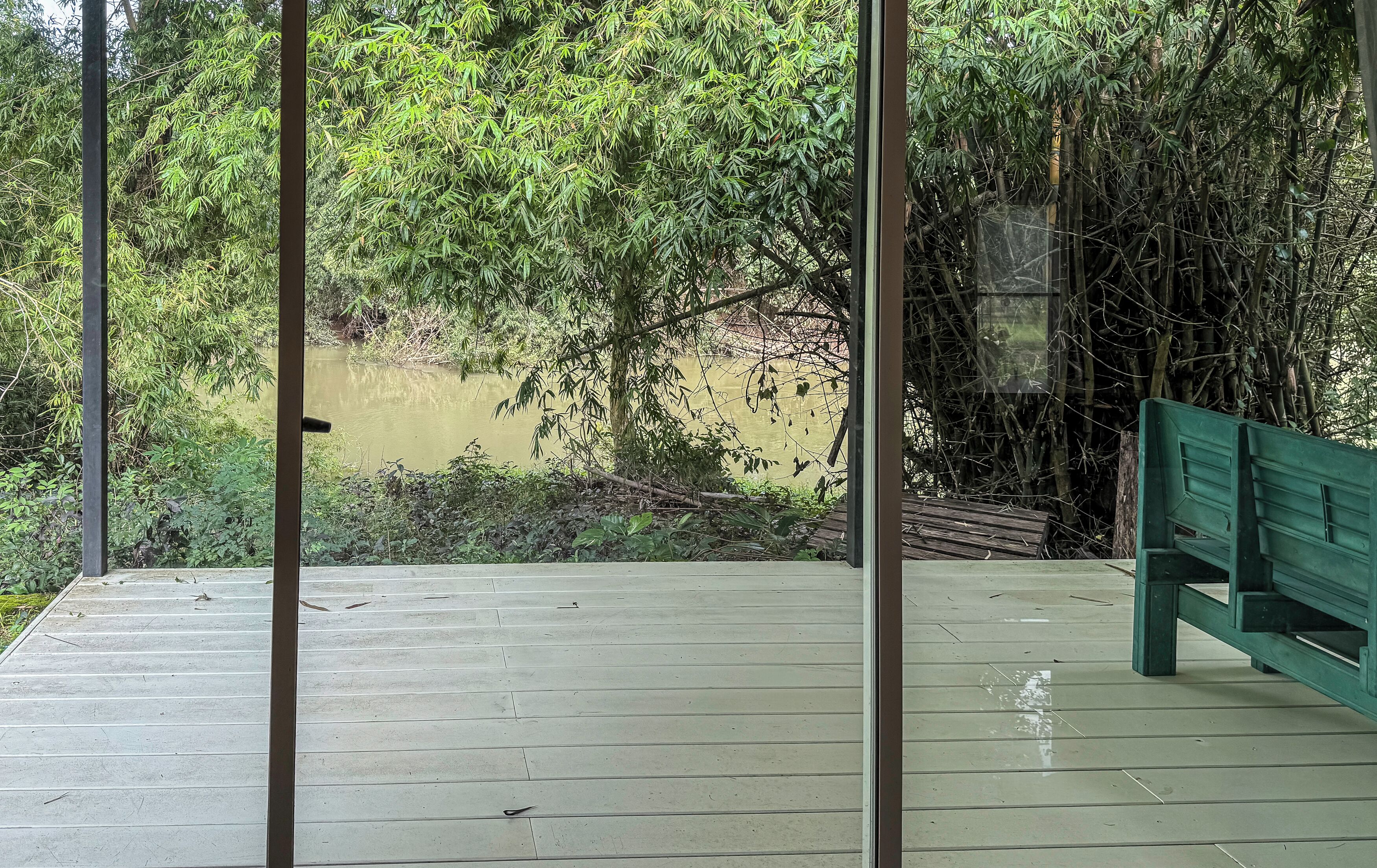 A wooden deck with a green bench, overlooking a dense bamboo forest and a calm body of water.