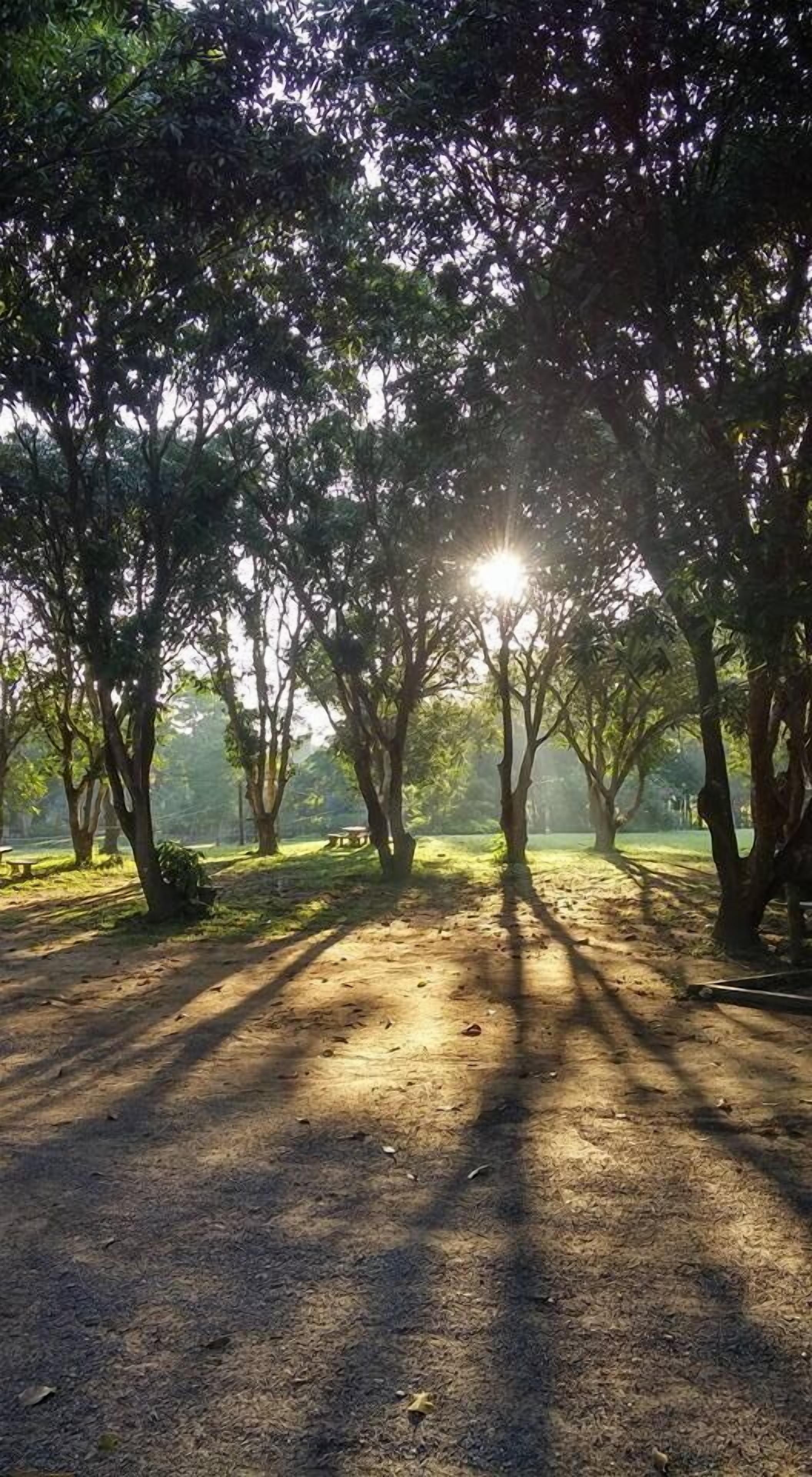 A shaded park area with trees and a picnic table.