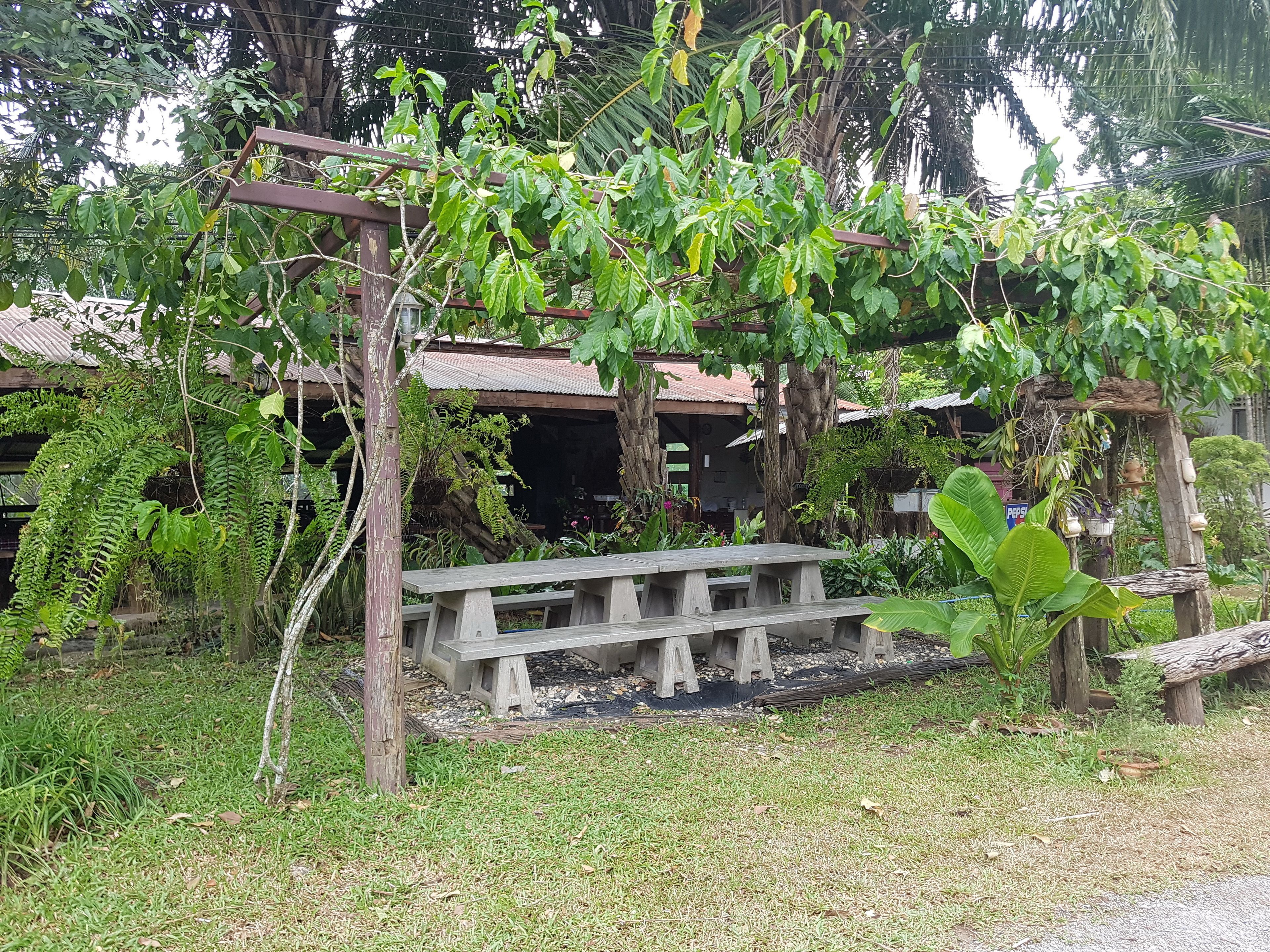 Breakfast, lunch, dinner served; Thai cuisine 