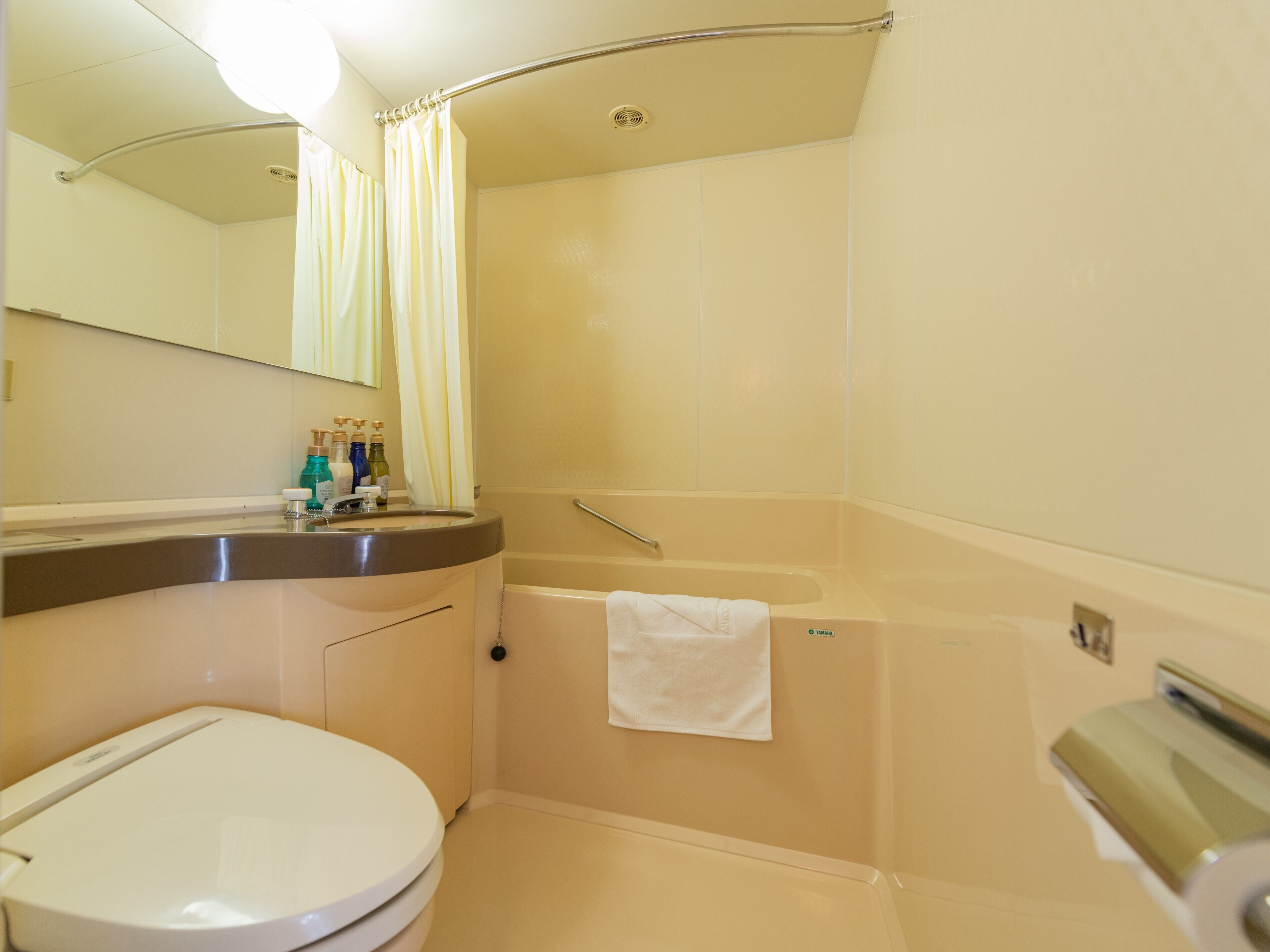 combined shower/bathtub, free toiletries, hair dryer, slippers