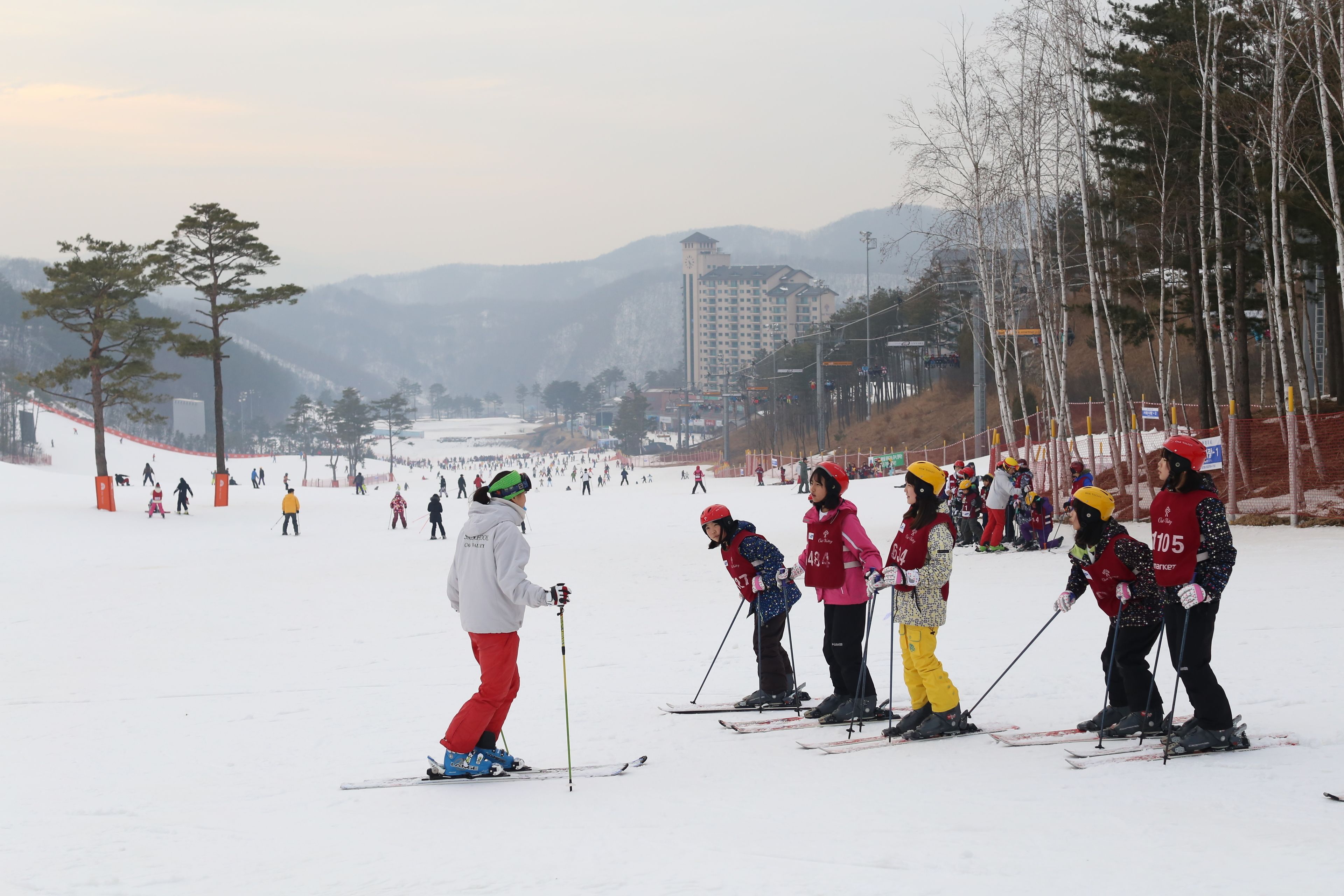 A ski slope with skiers and a mountainous backdrop.