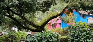 Un árbol con tronco y ramas cubiertas de musgo, un edificio colorido con paredes rosa y azul, y un jardín bien cuidado con diversas plantas.