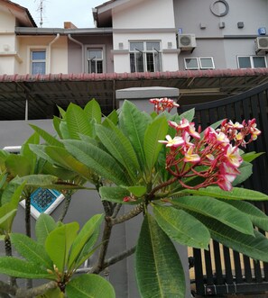 บริเวณภายนอก