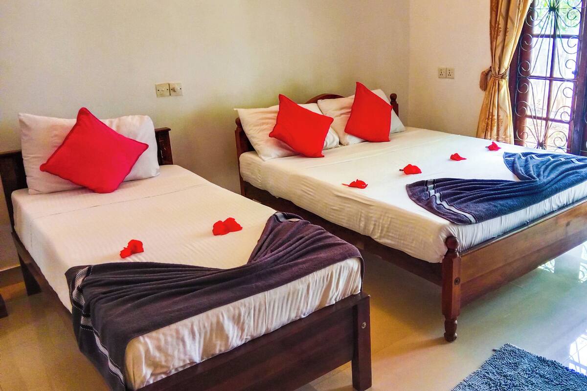 Two single beds with red pillows, a blue blanket, and rose petals on the beds.
