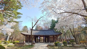 Ein traditionelles japanisches Gebäude mit einem Ziegeldach, umgeben von Kirschbäumen.