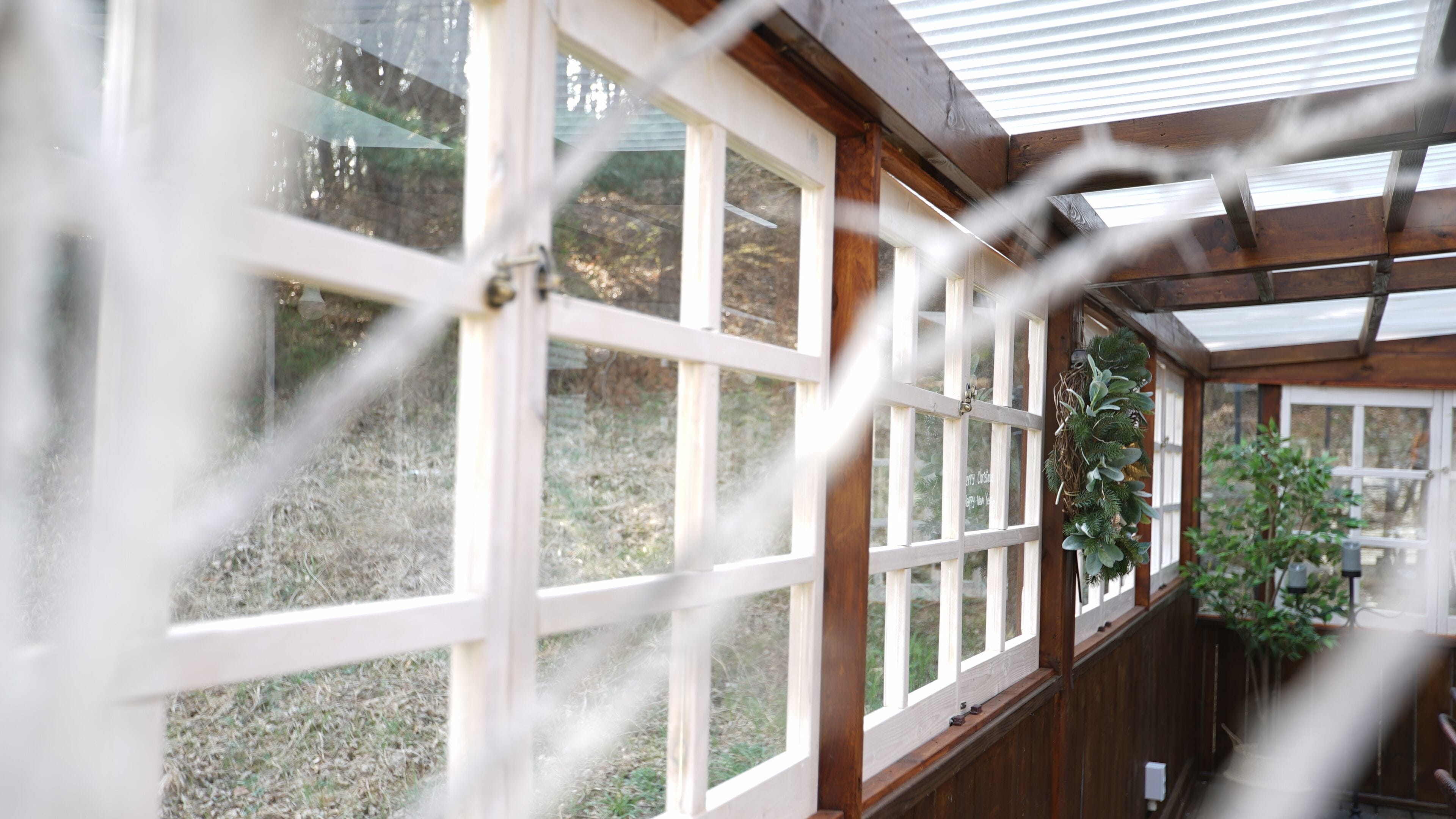 A greenhouse with wooden framing and glass panels, a wooden bench, and a plant.