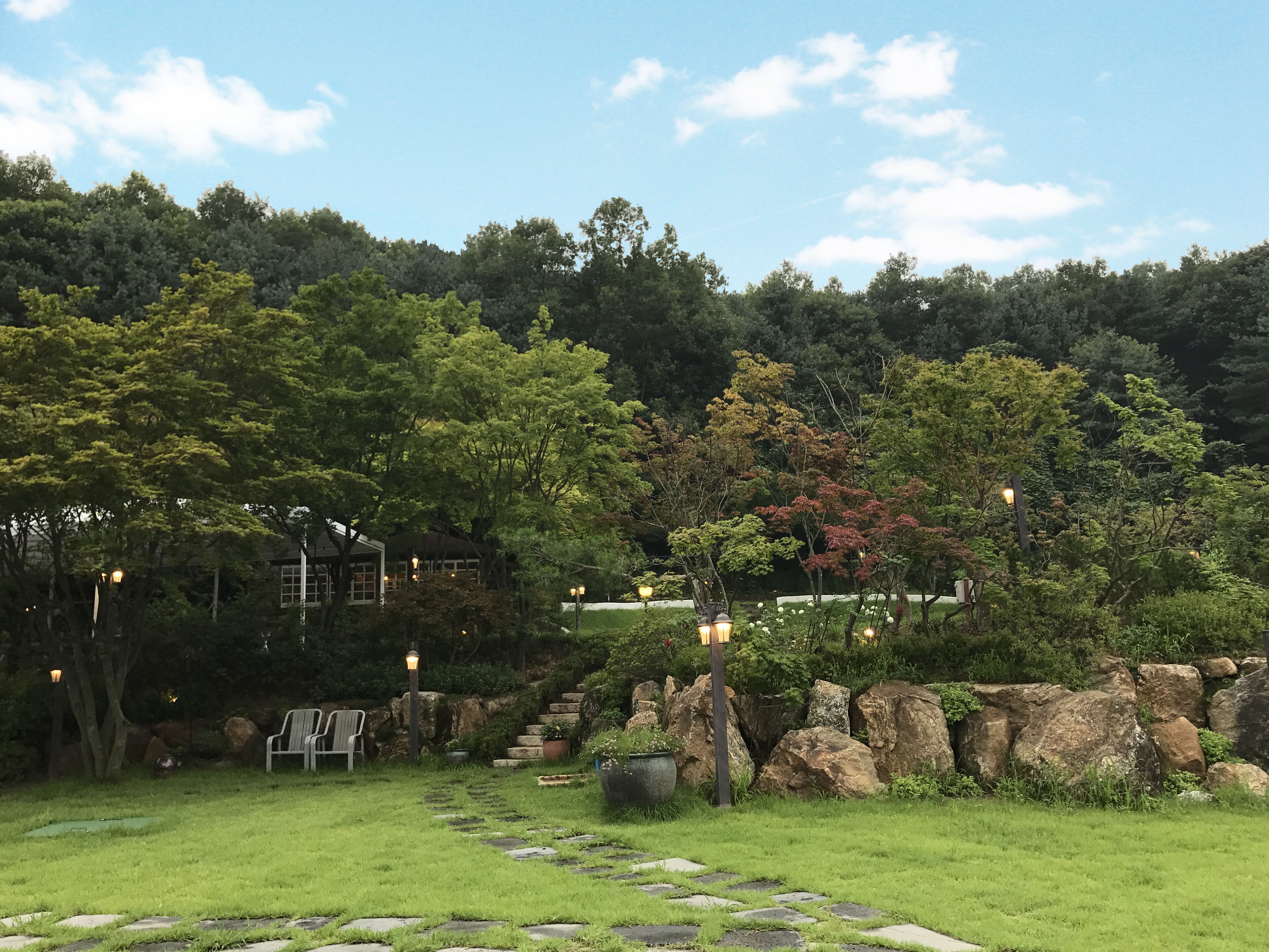 Taman