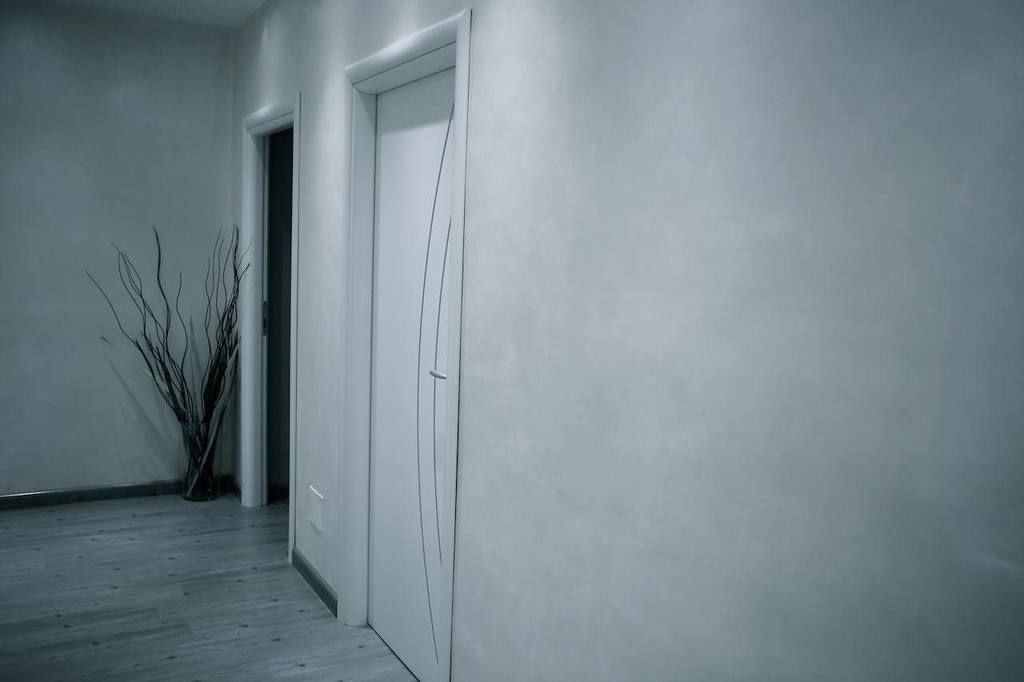 Un pasillo con una puerta blanca, una planta pequeña y piso de madera.
