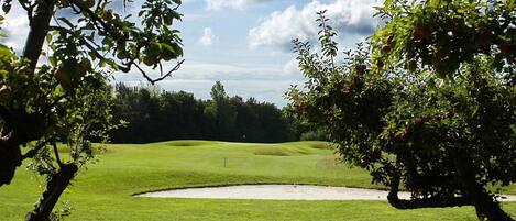 Ein Golfplatz mit einem Bunkersand, grünem Gras und Bäumen.