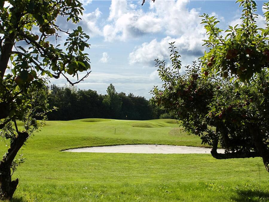 Ein Golfplatz mit einem Bunkersand, grünem Gras und Bäumen.