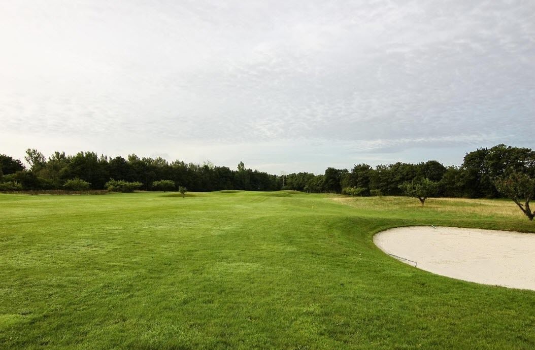 Un campo de golf con un búnker de arena, césped verde y árboles al fondo.