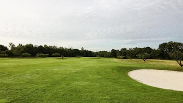 Un campo de golf con un búnker de arena, césped verde y árboles al fondo.
