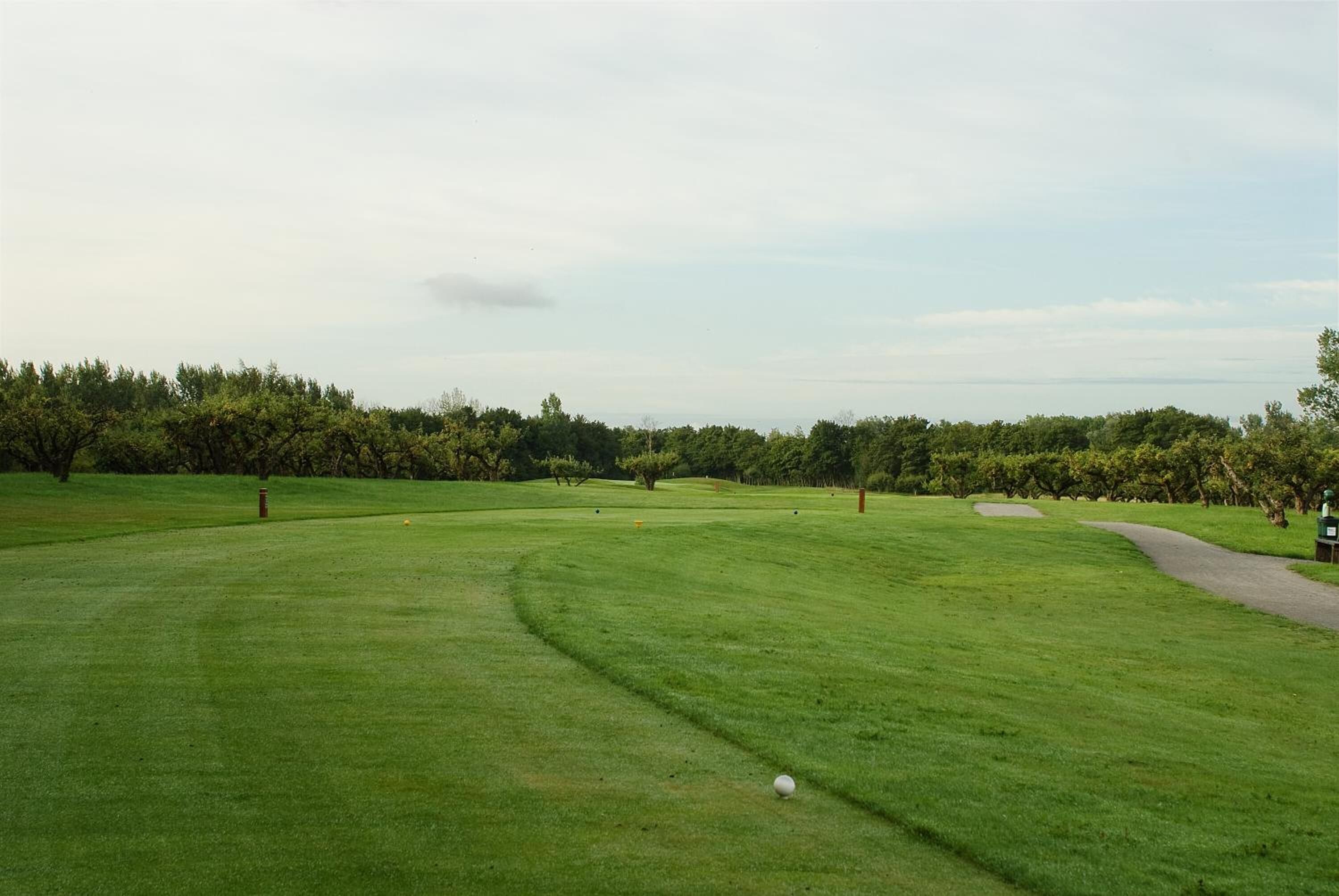 Um campo de golfe com um green bem cuidado, uma área de areia e um putting green.